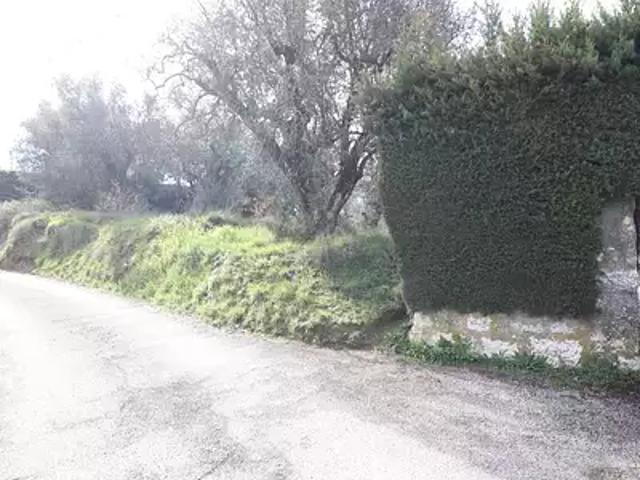 Contes 06390 Achat / Vente terrain