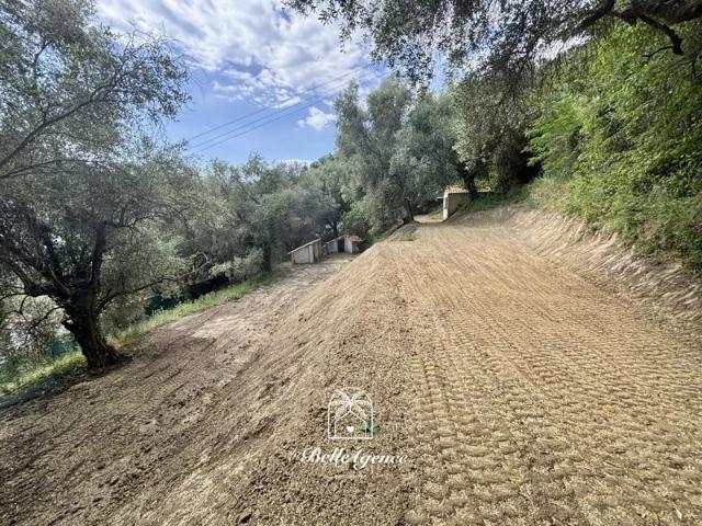 Contes Las Ayas Terrain constructible 2385m² Permis accordé Thomas
