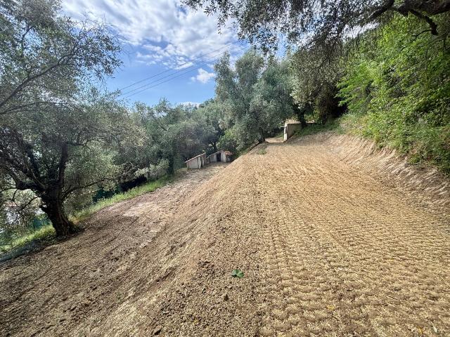 Contes Vente Terrain 06