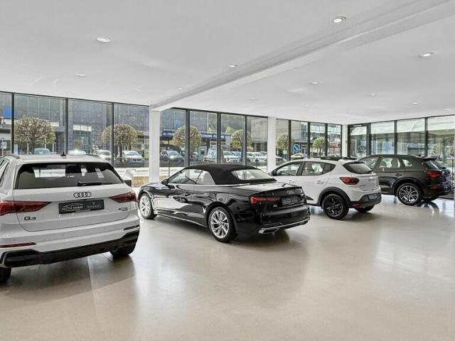 Contone Edificio commerciale con showroom in posizione strategica / Gewerbegebäude mit Showroom in bester Lage