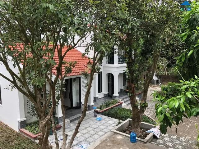 Còn 1 Căn Duy Nhất! Bán Nhà Vĩnh Phúc 130M2 Mặt Tiền 11M 24.5 Tỷ Sổ Đỏ Vuông Đẹp