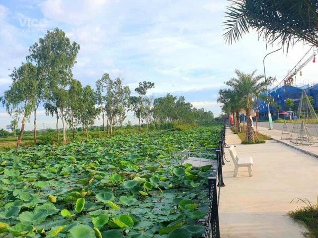 Còn duy nhất 1 căn biệt thự giá rẻ, vị trí đẹp. Căn góc vườn hoa