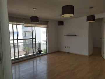 Con ROOF GARDEN departamento en RENTA en Col. An?huac. CDMX