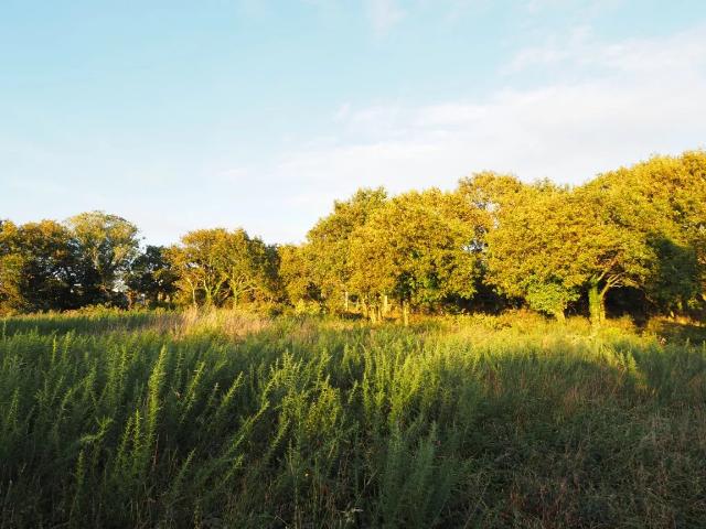 CONCARNEAU LE CABELLOU Terrain à bâtir de 769 m2