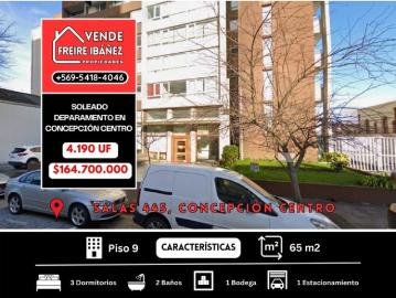 Concepción, Departamento de 3d 2b 1e 1b en concepción centro