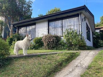 Concepción, Lo pequen
