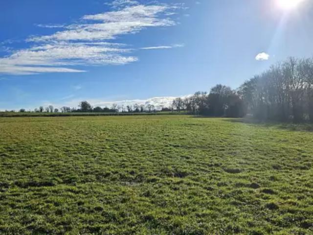 Condeissiat 01400 Programme neuf terrain neuf à vendre