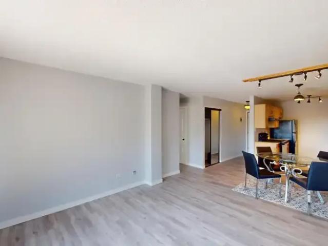 Condo 1 Bedroom For Rent Calgary AB 1500 ELS102846559