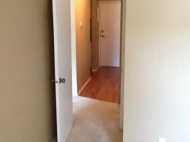 Condo 1 Bedroom For Rent Calgary AB 1500 ELS103060305
