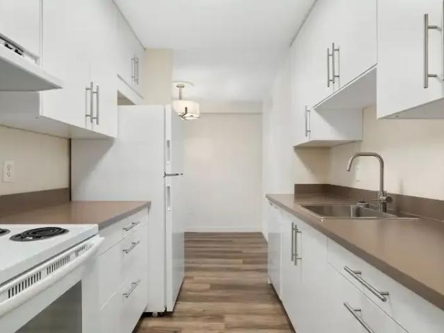 Condo 1 Bedroom For Rent Calgary AB 1600 ES104181000