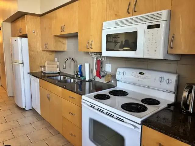 Condo 1 Bedroom For Rent Calgary AB 1695 ELS103118901