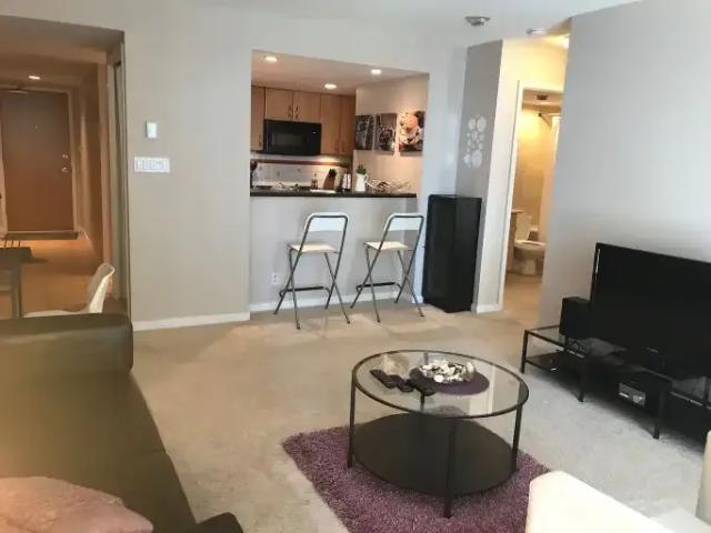 Condo 1 Bedroom For Rent Calgary AB 1699 ELS103090952