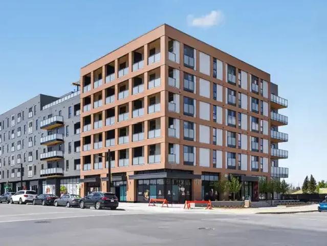 Condo 1 Bedroom For Rent Calgary AB 1750 ES102658537