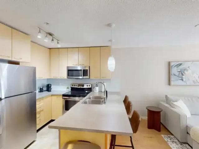 Condo 1 Bedroom For Rent Calgary AB 1800 ELS102846569