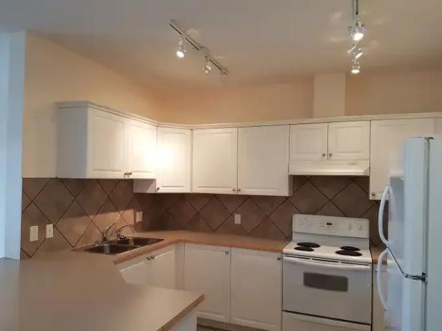 Condo 1 Bedroom For Rent Calgary AB 1800 ELS102883555