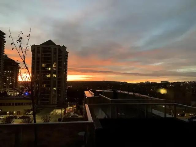 Condo 1 Bedroom For Rent Calgary AB 2025 ES105009023
