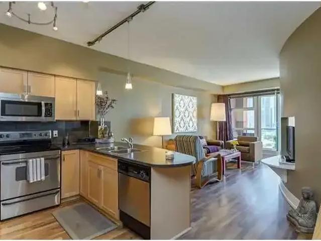 Condo 1 Bedroom For Rent Calgary AB 2050 ES104179696