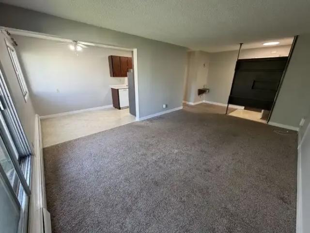 Condo 1 Bedroom For Rent Edmonton AB 1195 ES104182861