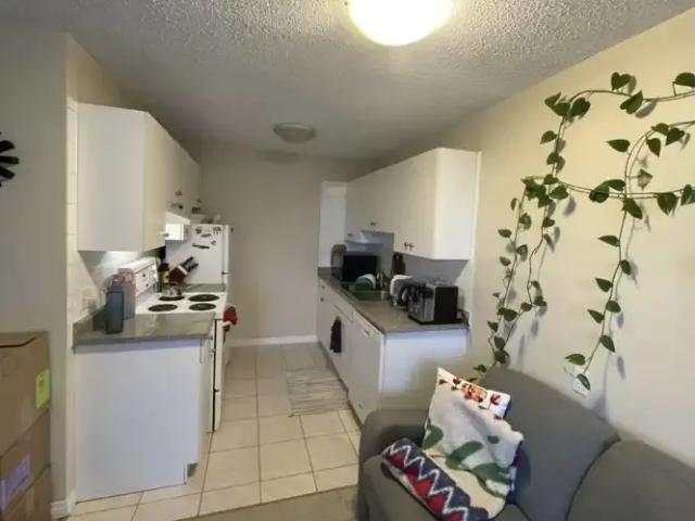 Condo 1 Bedroom For Rent Edmonton AB 1135 ES103301342