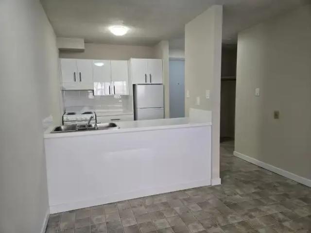 Condo 1 Bedroom For Rent Edmonton AB 1200 ES104181885