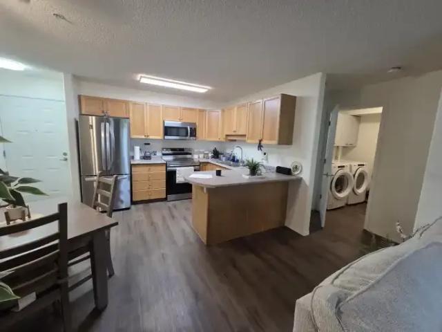 Condo 1 Bedroom For Rent Edmonton AB 1350 ES105087745