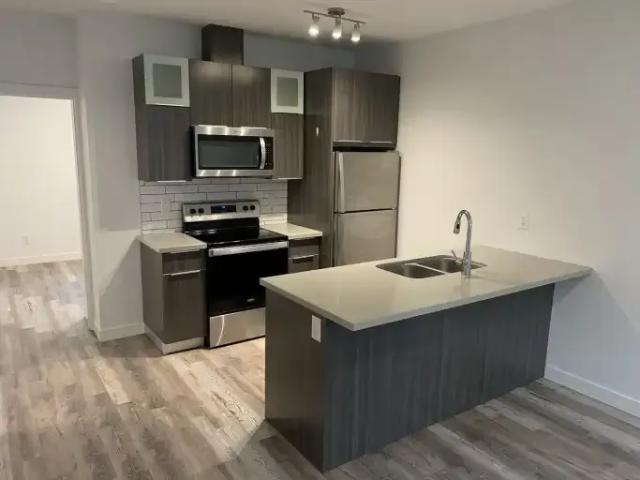 Condo 1 Bedroom For Rent Edmonton AB 1325 ES104957321