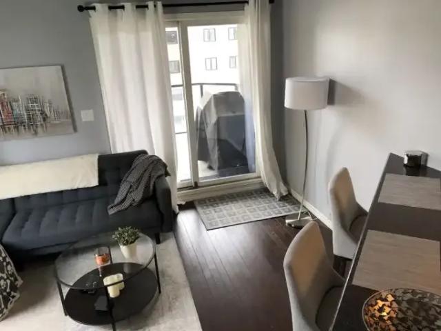 Condo 1 Bedroom For Rent Edmonton AB 1750 ELS98363423