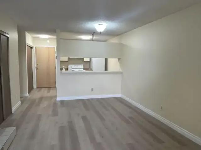 Condo 1 Bedroom For Rent Edmonton AB 975 ELS102846740
