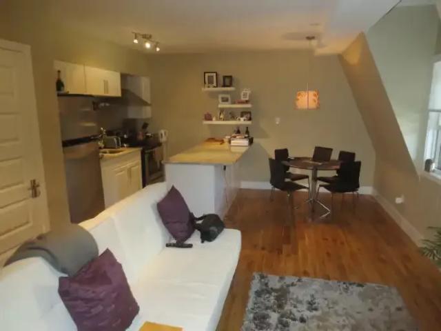 Condo 1 Bedroom For Rent Ottawa ON 1650 ES103179077