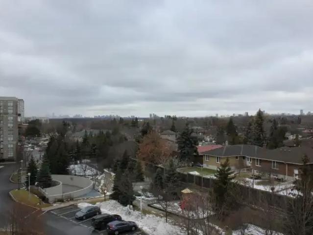 Condo 1 Bedroom For Rent North York ON 2300 ELS103011783