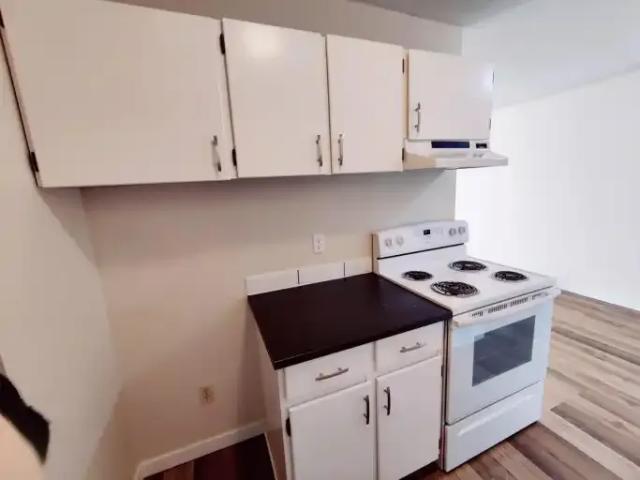 Condo 1 Bedroom For Rent Penticton BC 1295 ELS102846896