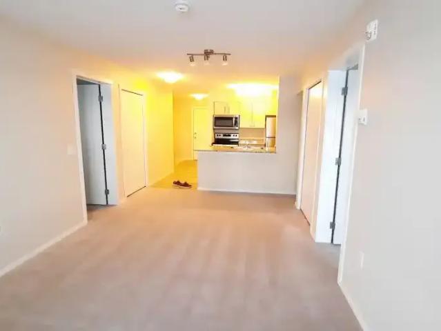 Condo 2 Bedroom For Rent Calgary AB 1800 ELS102467677