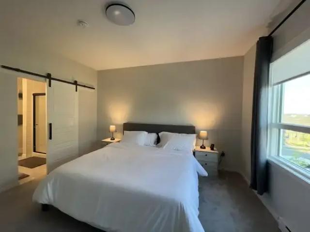 Condo 2 Bedroom For Rent Calgary AB 2050 ES104178887