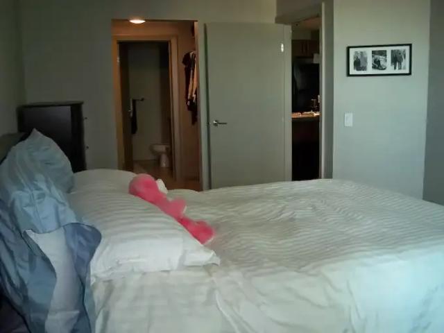 Condo 2 Bedroom For Rent Calgary AB 2175 ELS101216966
