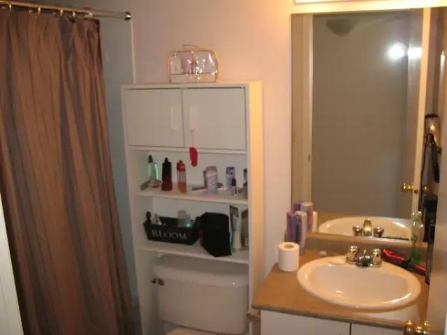 Condo 2 Bedroom For Rent Airdrie AB 1700 ES104180201