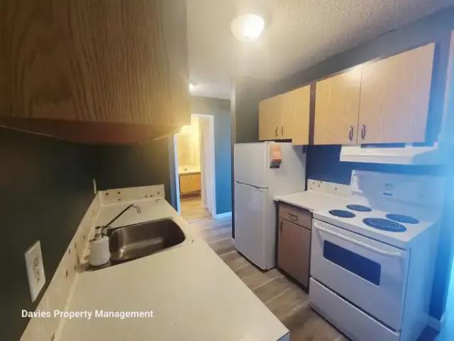 Condo 2 Bedroom For Rent Edmonton AB 1100 ES105135556
