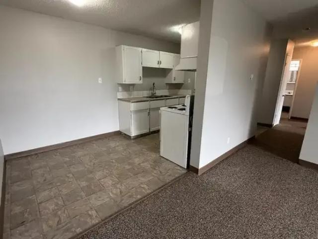 Condo 2 Bedroom For Rent Edmonton AB 1295 ES104401532