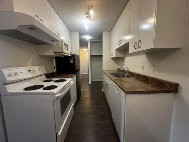 Condo 2 Bedroom For Rent Edmonton AB 1200 ES103611670