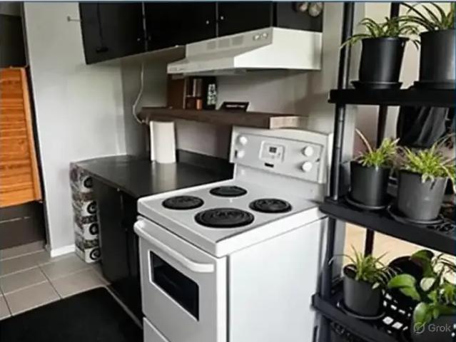 Condo 2 Bedroom For Rent Edmonton AB 1300 ES102883282