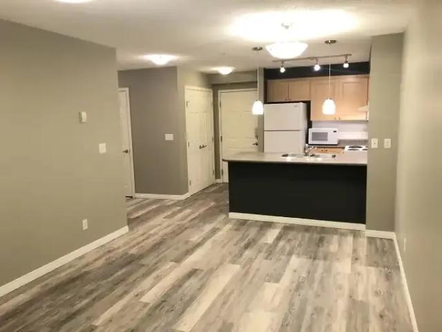 Condo 2 Bedroom For Rent Edmonton AB 1500 ES103367962