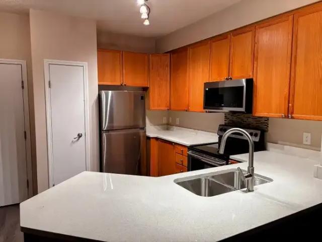 Condo 2 Bedroom For Rent Edmonton AB 1500 ES103573665