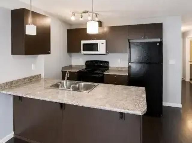 Condo 2 Bedroom For Rent Edmonton AB 1600 ES103411257