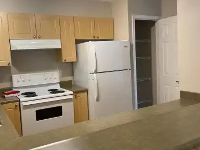 Condo 2 Bedroom For Rent Edmonton AB 1600 ES103840244