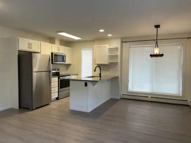 Condo 2 Bedroom For Rent Edmonton AB 1750 ES103879477