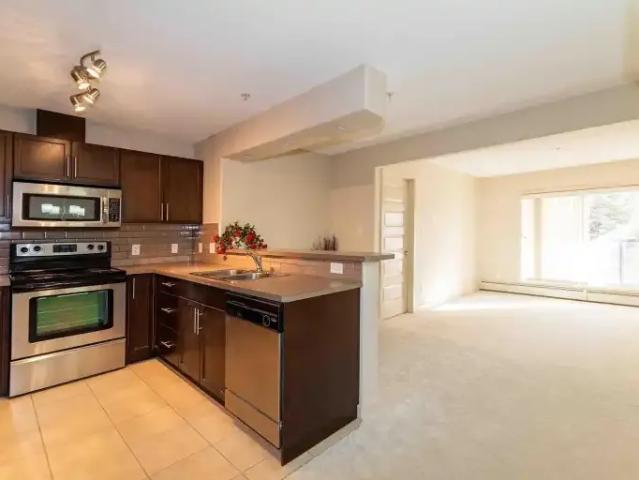 Condo 2 Bedroom For Rent Edmonton AB 1800 ES103920458