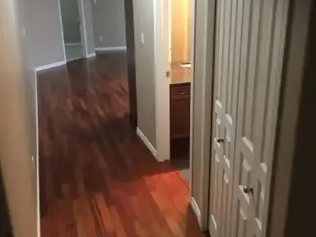 Condo 2 Bedroom For Rent Edmonton AB 1900 ES103840213