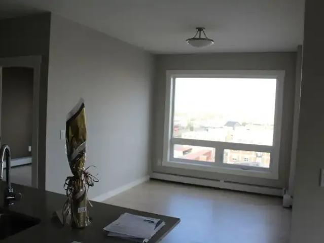 Condo 2 Bedroom For Rent Edmonton AB 2000 ES104180307