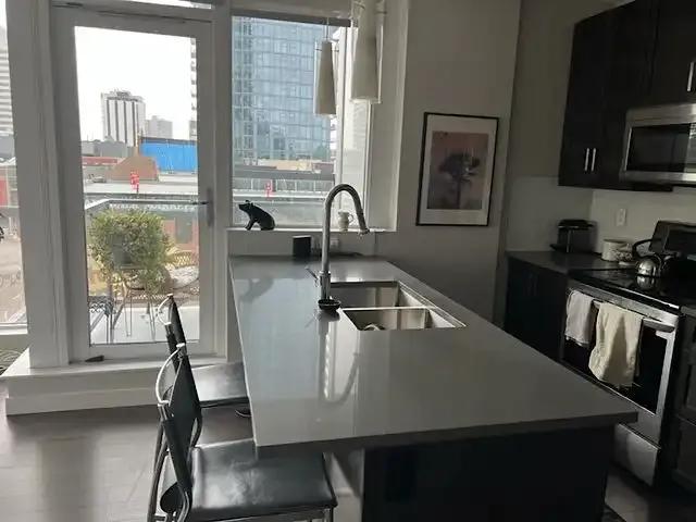 Condo 2 Bedroom For Rent Edmonton AB 2450 ES105022804