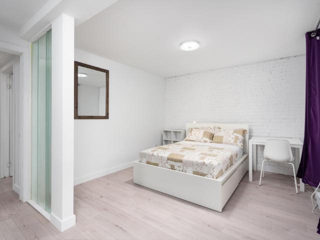 Condo à Louer 1711 Rue Saint Denis, Le Plateau Mont Royal Montréal 18 photos | Logis Québec