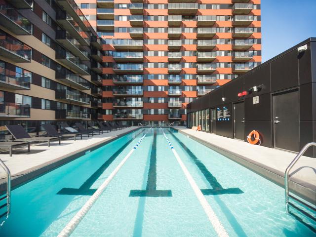 Condo à Louer 1140 rue Wellington, Le Sud Ouest Montréal 3 photos | Logis Québec